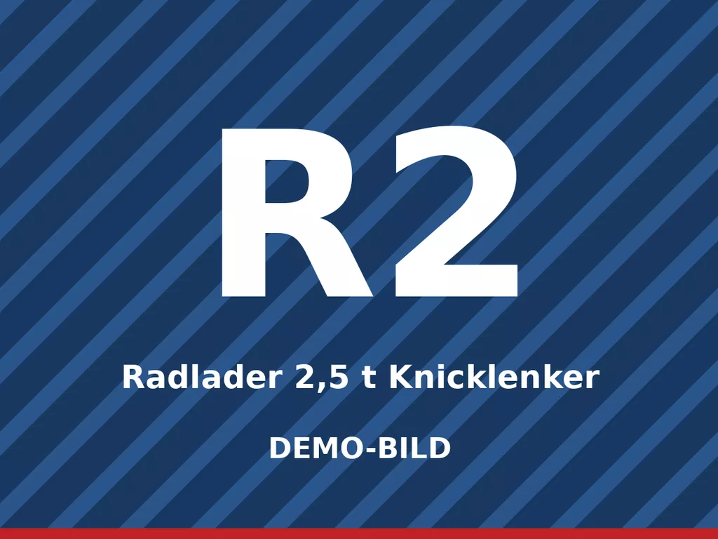 Demo-Bild: Radlader 2,5 t Knicklenker