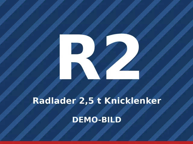 Demo-Bild: Radlader 2,5 t Knicklenker
